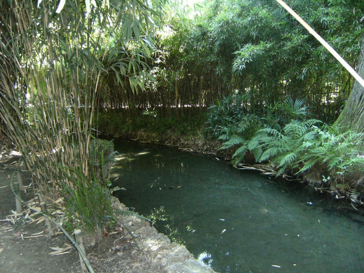 Retour Aux Sources Villa Sauve Kültér fotó