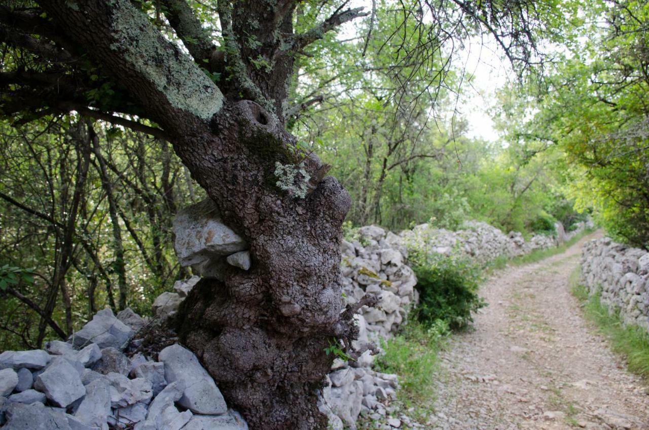 Retour Aux Sources Villa Sauve Kültér fotó
